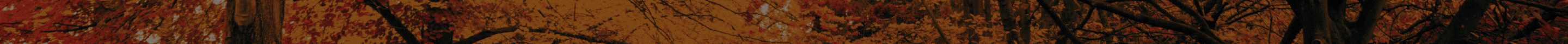 topbanner