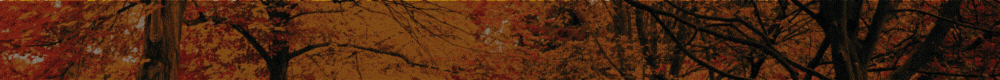 topbanner